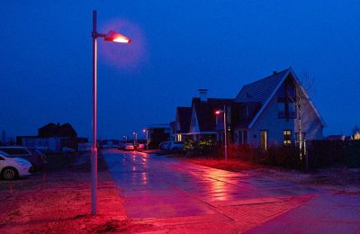 Cidade holandesa investe em iluminação vermelha especial para atrair morcegos