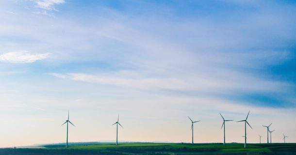 parque eólico