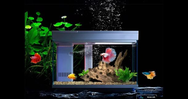 Tecnologias inovadoras para sua casa: confira 9 opções que você nunca imaginou imagem da tecnologia xiomi aquarios, dentre as novas tecnologias para residências