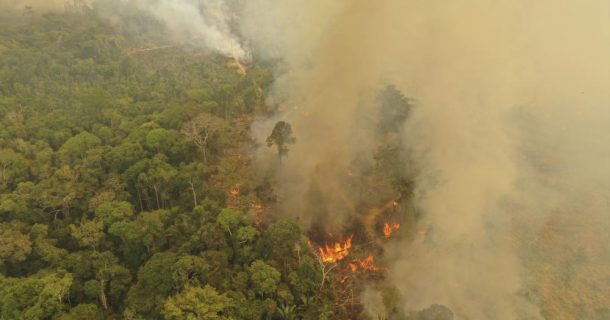 Desmatamento. © Michael Dantas / WWF-Brasil