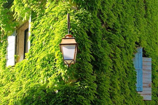 4 modelos de projetos que prometem ajudar a melhorar as condições do ar nas cidades 4 modelos de projetos que prometem ajudar a melhorar as condições do ar nas cidades