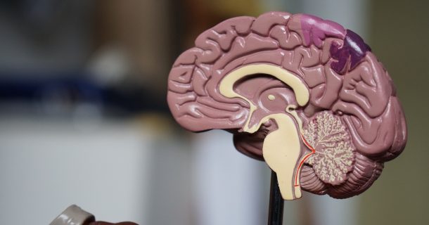 Nova tecnologia de ultrassom possibilita ler mentes