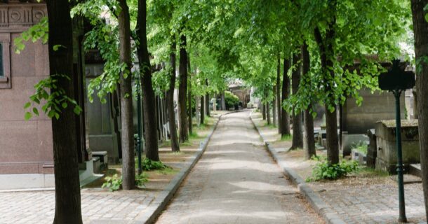 Arquitetura de Cemitérios: Como projetar espaços funerários sustentáveis e conectados às cidades? cemitérios