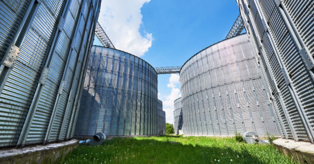 biocombustível de biomassa