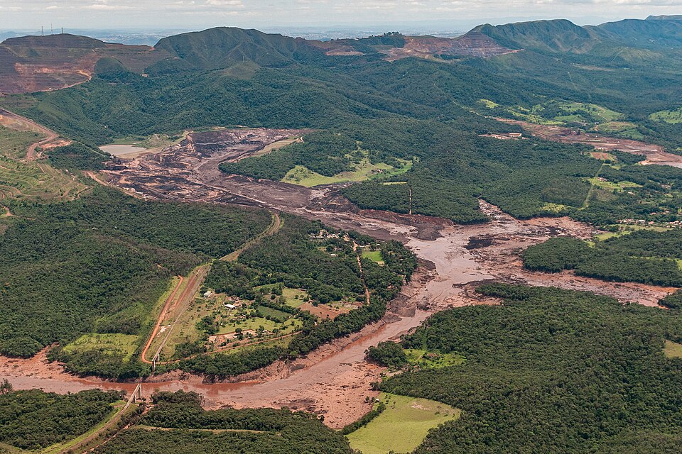 Esperança Brasil! Brumadinho acelera o reflorestamento em área de deslizamento de barragem brumadinho