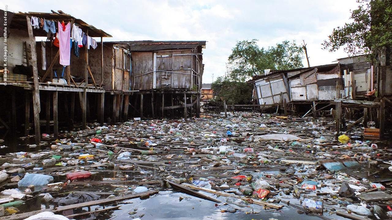 Conheça o projeto que pretende transformar favela de palafitas em Santos