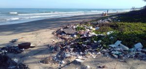 ecologia