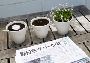 soluções ecológicas para resíduos