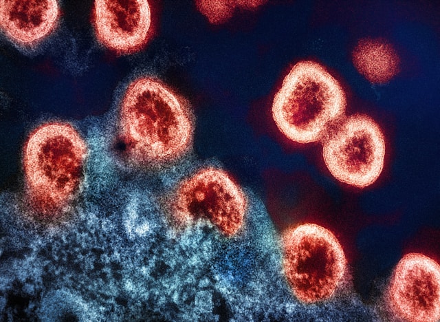 Polêmica: duas novas vacinas geram dúvidas e trazem esperança novas vacinas