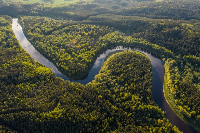 Satélite para a Amazônia? Governo brasileiro fecha acordo de parceria com Elon Musk starlink