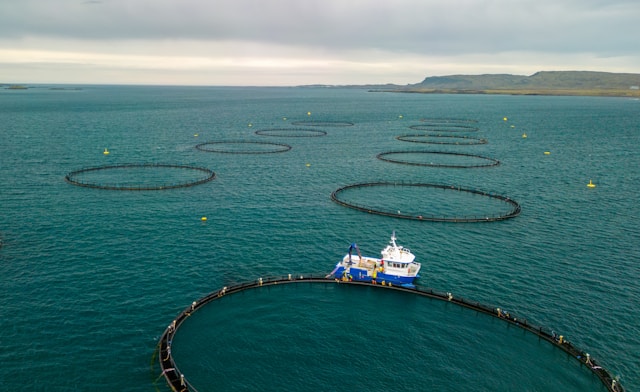 Conheça a Engenharia de Pesca: da busca à captura, processamento e conservação de peixes e frutos do mar engenharia de pesca