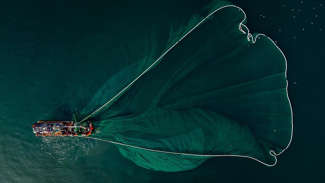 Conheça a Engenharia de Pesca: da busca à captura, processamento e conservação de peixes e frutos do mar engenharia de pesca