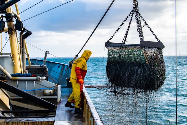 Conheça a Engenharia de Pesca: da busca à captura, processamento e conservação de peixes e frutos do mar engenharia de pesca