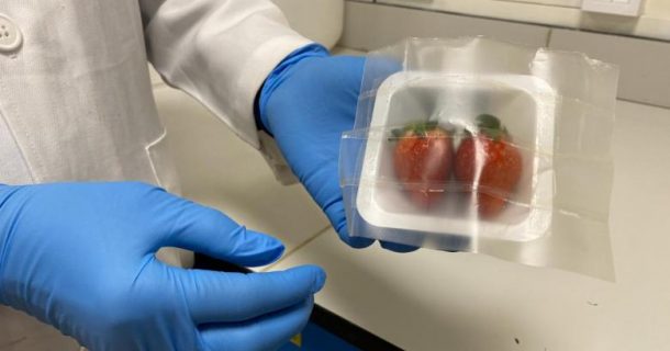embalagens biodegradáveis
