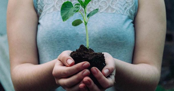 profissões carreira