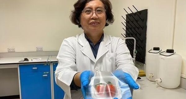 embalagens biodegradáveis