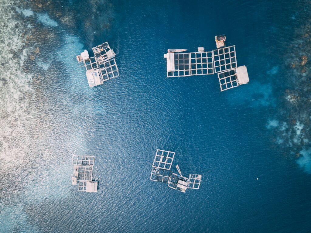 Conheça a Engenharia de Aquicultura, que lida com a produção de organismos aquáticos em cativeiro engenharia de aquicultura