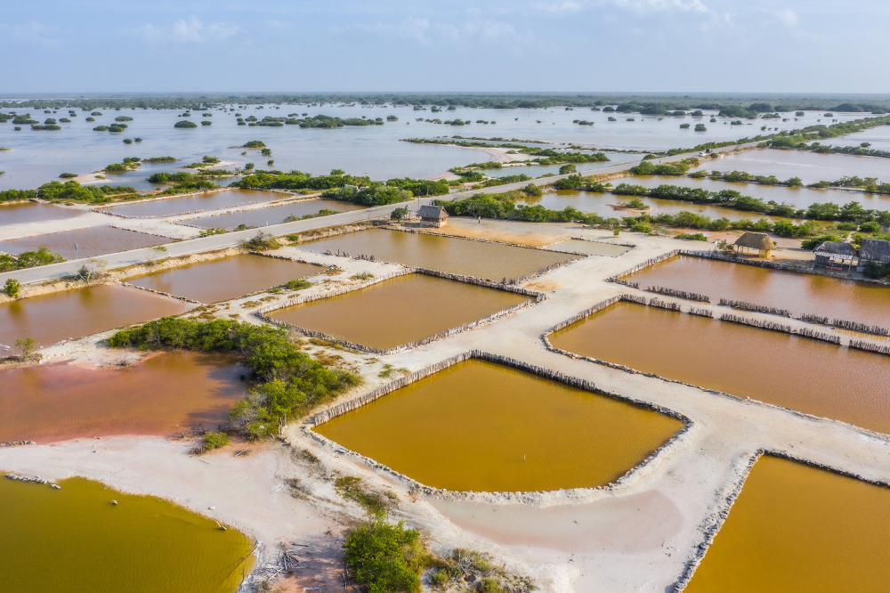 Conheça a Engenharia de Aquicultura, que lida com a produção de organismos aquáticos em cativeiro engenharia de aquicultura