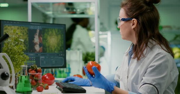 engenharia de alimentos