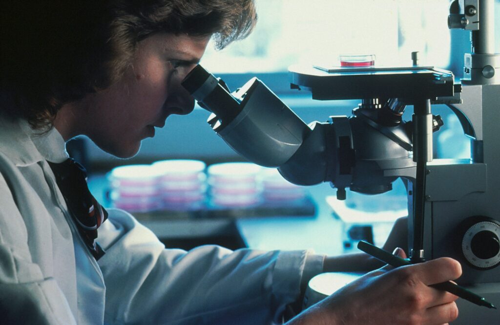 Biotecnologias: cursar Engenharia Genética ou Engenharia de Alimentos? Engenharia Genética ou Engenharia de Alimentos