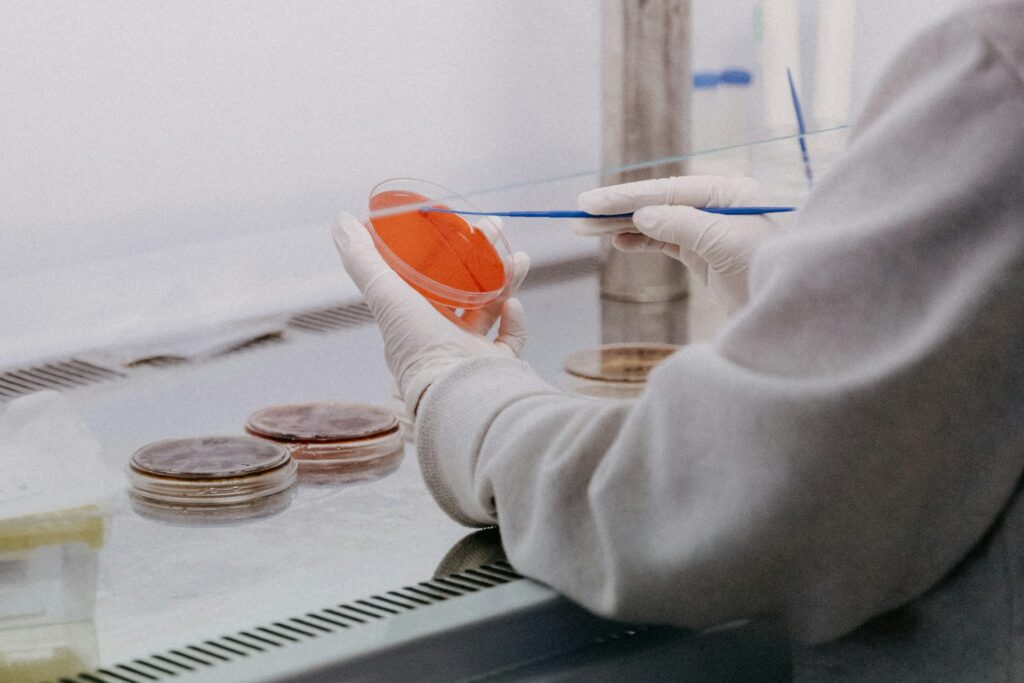 Biotecnologias: cursar Engenharia Genética ou Engenharia de Alimentos? Engenharia Genética ou Engenharia de Alimentos
