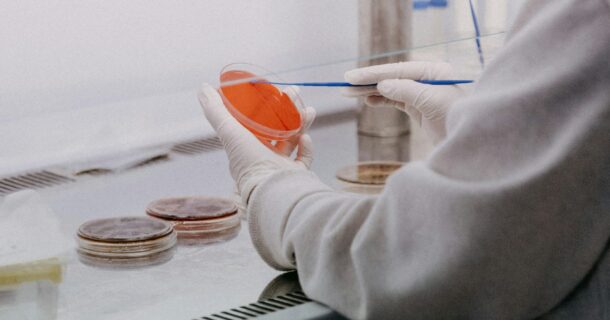 Engenharia Genética ou Engenharia de Alimentos