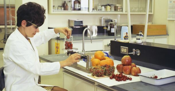 Engenharia Genética ou Engenharia de Alimentos