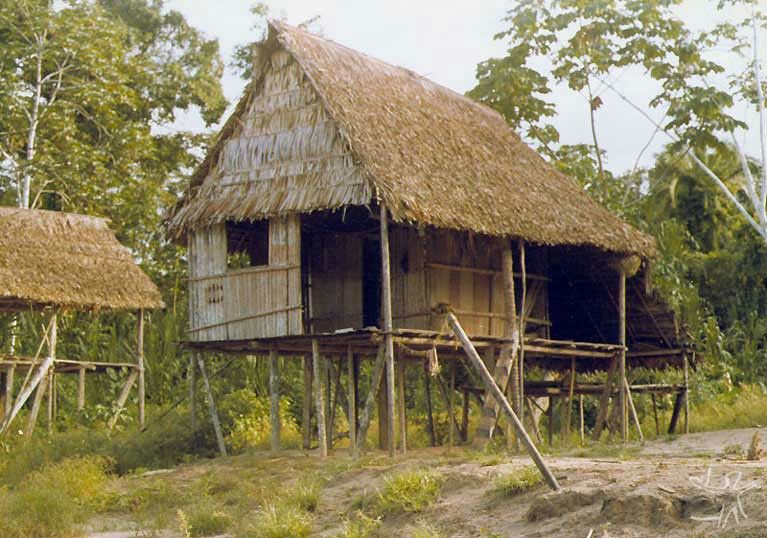 arquitetura indígena