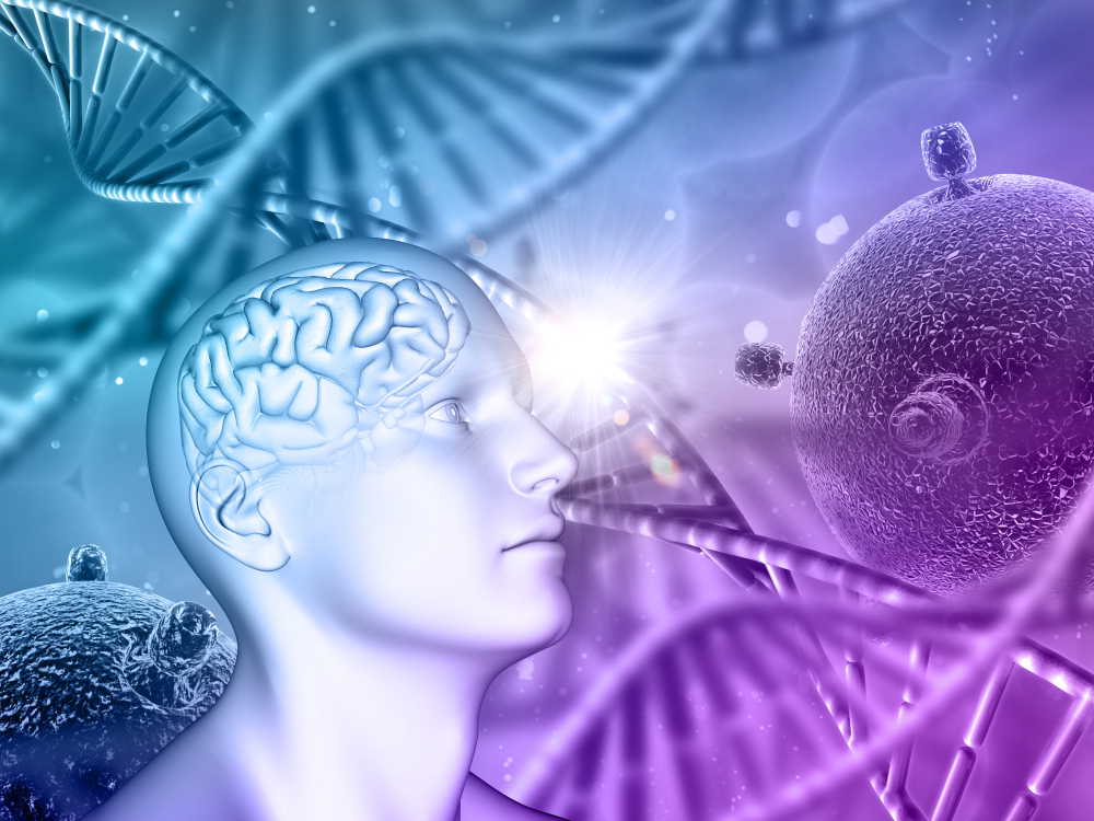 Se Engenharia é um Ciência Exata, o que são Ciências Humanas, Biológicas e Sociais? ciências