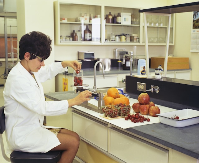 Segurança alimentar e saúde: ONU aponta 5 formas de tornar cidades mais saudáveis e sustentáveis foodtech - produção de alimentos