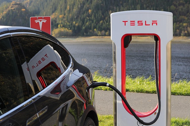 Empresa brasileira ameaça os planos de Elon Musk, saiba o porquê carros elétricos Tesla - novas baterias