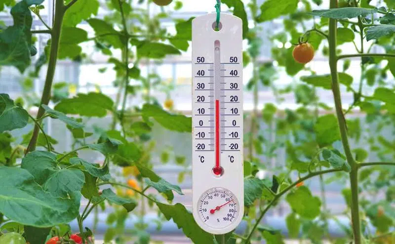 Modelo de cultivo indoor alimentos