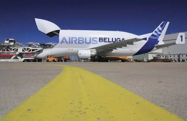 avião baleia