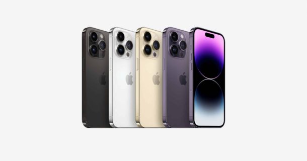 iPhone e Apple Watch