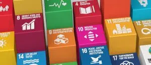 Objetivos de Desenvolvimento Sustentável (ODS)