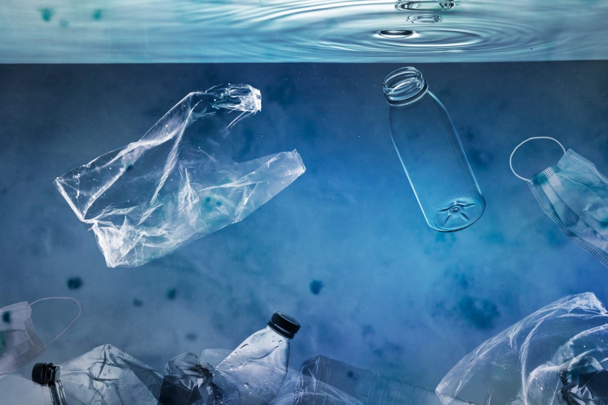Entenda como os materiais plásticos afetam os ecossistemas aquáticos