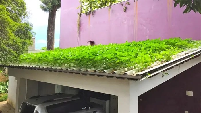 Telha hidropônica Kaatop: a primeira solução comercial para telhados verdes e jardins verticais telha hidropônica