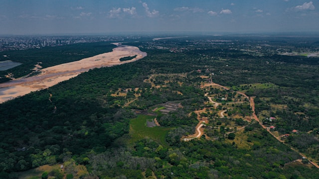 COP27 Egito: o possível plano para a restauração da Amazônia cop27