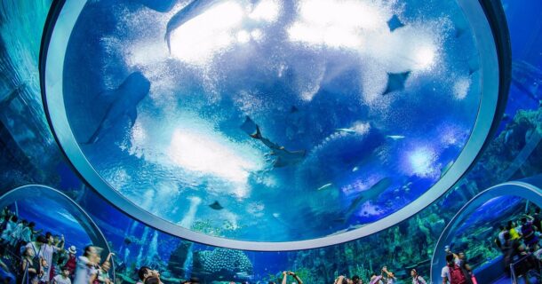 maiores aquários do mundo