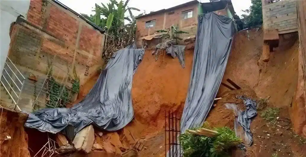 movimento de massas