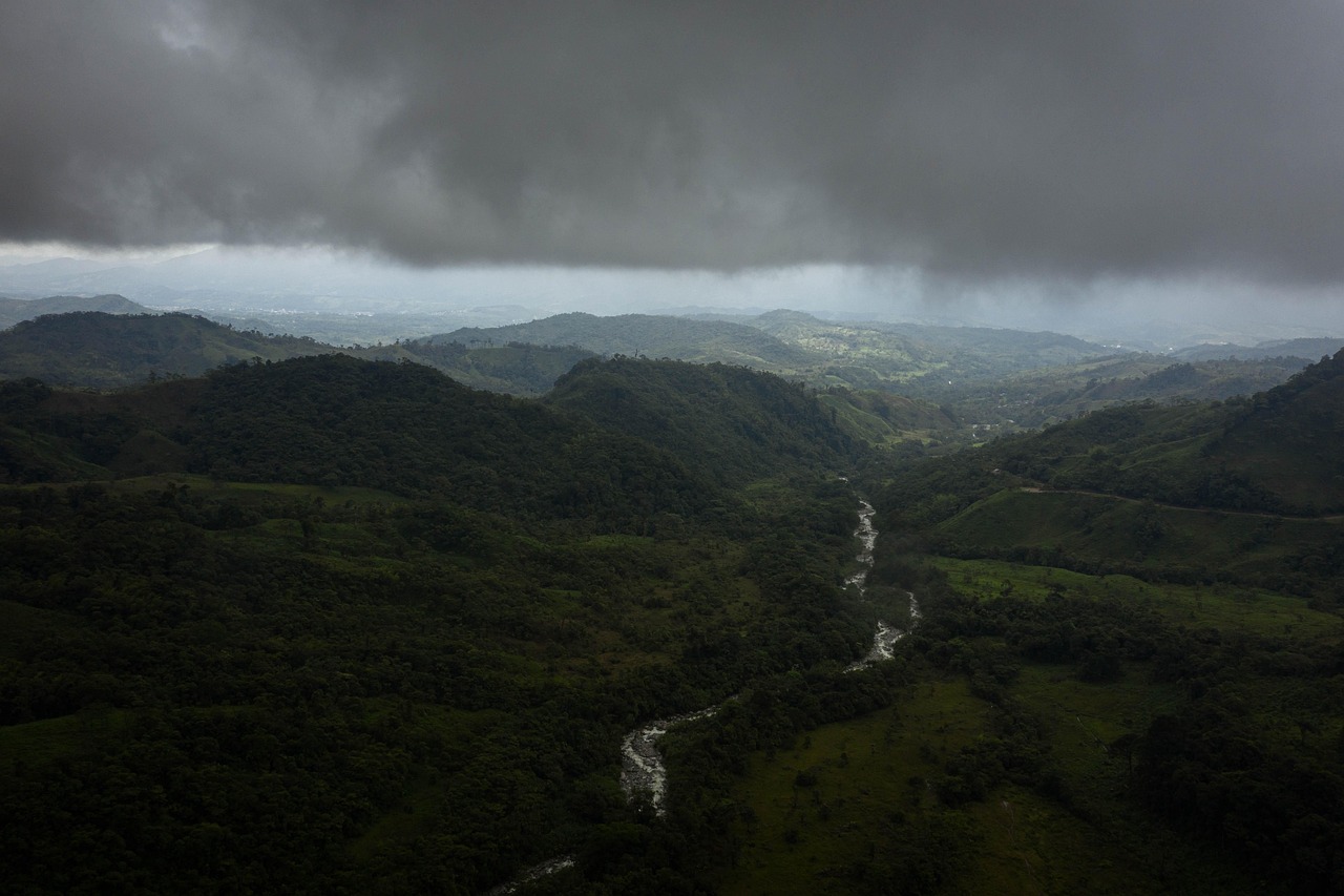 Amazônia: cientistas alemães vão monitorar a região até janeiro de 2023 Pesquisa Amazônia
