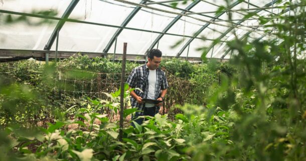 Engenharia de Horticultura