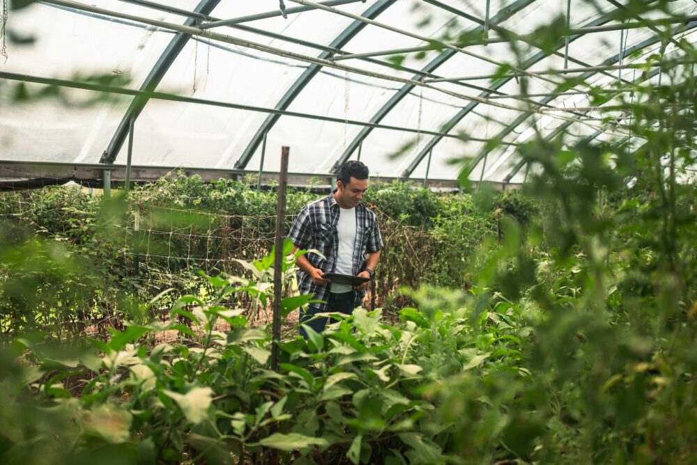 O que fazer no mercado como um profissional formado em Engenharia de Horticultura? Engenharia de Horticultura