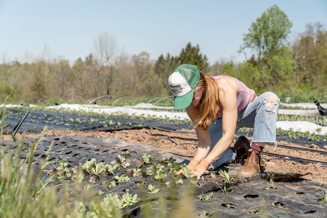O que fazer no mercado como um profissional formado em Engenharia de Horticultura? Engenharia de Horticultura