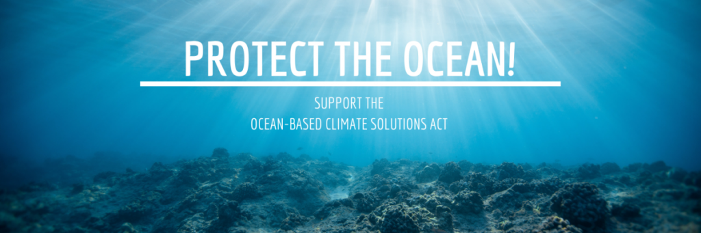 Ocean Based Climate Solutions (Soluções Climáticas Baseadas no Oceano)