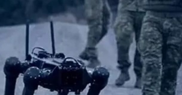 cão-robô militar