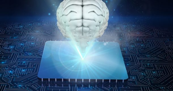 inteligência organoide