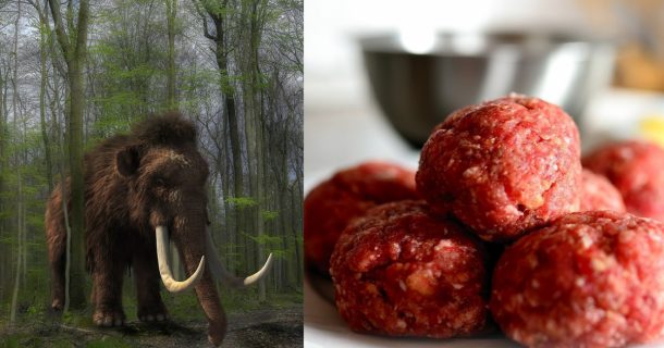 Almôndegas de mamute