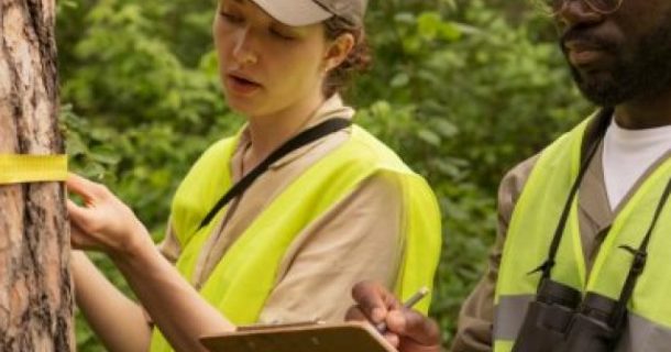 estudo de impacto ambiental