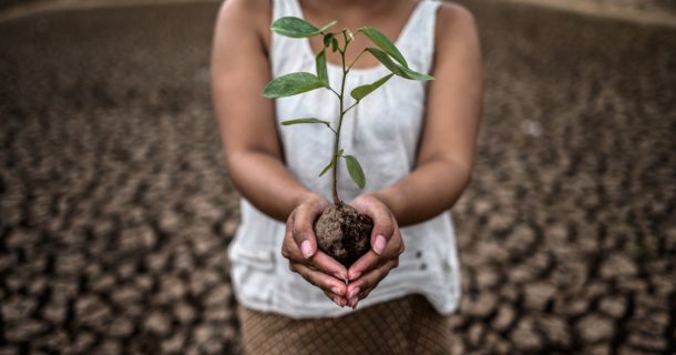 Solos e Nutrição de Plantas